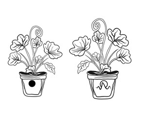 Hand-Drawn Potted Plant Line Art, Botanical Houseplant Outline Illustrations, Simple Floral and Plant Sketch Graphics, Decorative Indoor Plant Vector Set