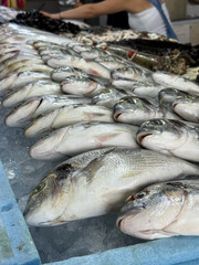 Freshly Caught Fish Piled for Market Sale