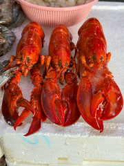 Freshly Cooked Lobsters on Ice at Seafood Market