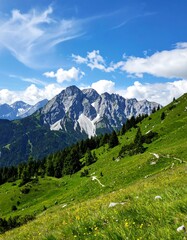 Alpine meadow with snow-capped peaks (1)