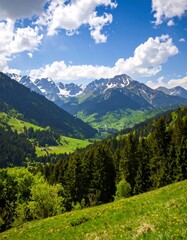 Fototapeta premium Alpine valley landscape, vibrant green hills and snowy peaks