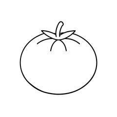 tomato icon vector
