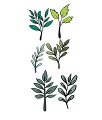 Colorful Leaf Branch Collection,Botanical Illustrations Vector Vibrant Foliage Set,Modern Plant Graphics Green and Teal Leaf Elements,Nature Inspired Designs,Artistic Colored Leaf Sprigs,Botanical Art