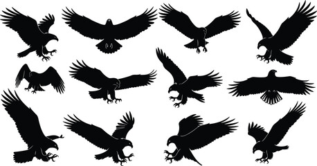 Eagle silhouette, flying eagle vector, predatory bird clipart, bird of prey artwork, cad drawing flat vector illustration, editable hawk shape