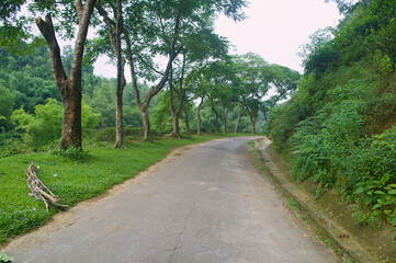 Serene Road Through Lush Green Landscape Nature Photography Scenic Beauty Peaceful Journey Outdoors