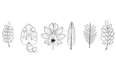 Line Art Leaf Collection, Outlines
Hand Drawn Leaves Vector Set, Minimalist Plant Drawings Tropical and Forest Leaf Silhouettes, Simple Leaf Sketch Elements, Natural and Organic Design.
