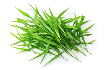 Fototapeta premium A detailed close-up of cut wild grass, highlighting individual blades and their vibrant green hues, isolated on a clean white background, top view