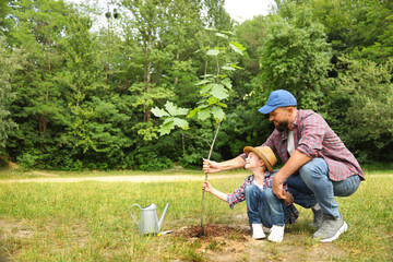 Father and his son planting tree into soil outdoors, space for text
