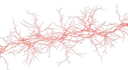 Obraz premium A bright red lightning bolt on a black background png, transparent, white background, ai generated, 