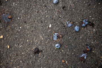 Close-up of rotten fruits showing mold, bruises, and natural decay. Concept of food waste,...