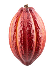 Fototapeta premium Ripe cacao pod, vibrant reddish-brown fruit, chocolate ingredient on transparent background