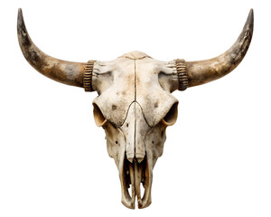 bull skull  isolated on white background. PNG Transparent file type with high definition quality And vibrant color grading Available.