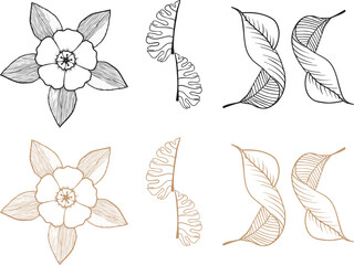 Floral Line Art Arrangement, Delicate Flower Outline Design, Botanical Black White and gold  Illustration, Simple Floral Drawing Collection