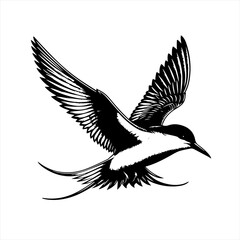Obraz premium Elegant Tern in Flight Black and White Illustration.