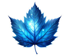blue and white leaf illustration isolated on white background. PNG Transparent file type with high definition quality And vibrant color grading Available.