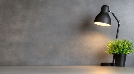 Desk lamp illuminates plant with copy space on textured gray background