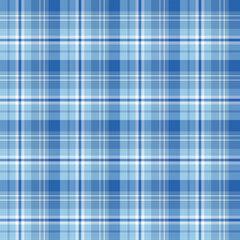 Seamless pattern with pleasant light and dark blue and white colors for plaid, fabric, textile, clothes, tablecloth and other things. Vector image.