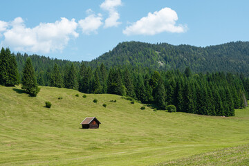 Green landscape of hils, mountains, forest and a small wooden cottage