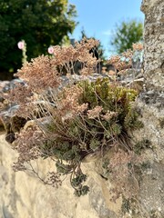Talmont-sur-Gironde