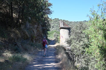 Canal del Mesto , Pedrezuela