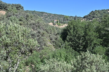 Canal del Mesto , Pedrezuela
