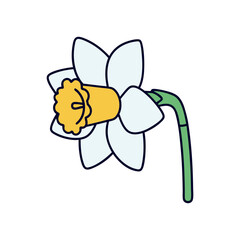 Simple cartoon illustration of a white daffodil flower with a yellow trumpet