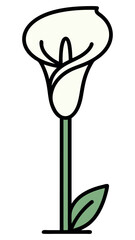 Simple illustration of a white calla lily with a green stem and leaf