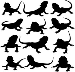 Naklejka premium Collection of Bearded Dragon Lizard Silhouettes in Different Poses