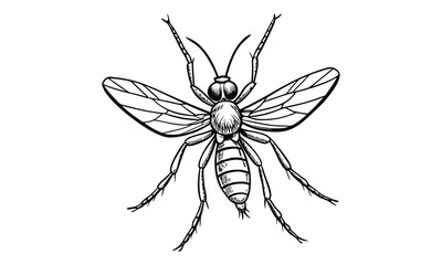 Obraz premium Mosquito t shirt design silhouette and vector line art, Intricate Vector Illustration for Mindfulness, Printable Coloring Pages, Adult Art Therapy, and Stress Relief Activities