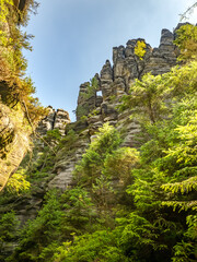 Fototapete bei efototapeten.de bestellen   