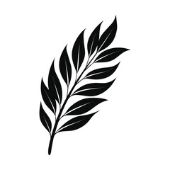 Willow Leaf Silhouette Vector on White Background – Minimalist Botanical Illustration