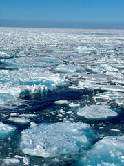 Blue Shadows and Cracked Ice in the Heart of the Polar Ocean