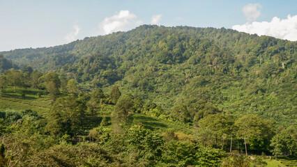 Fototapeta premium Mountains landscape. Panorama of beautiful countryside of Indonesia in sunny afternoon. landscape in tropical. Grassy field and rolling hills. rural scenery with blue sky and trees. Idyllic mountain.