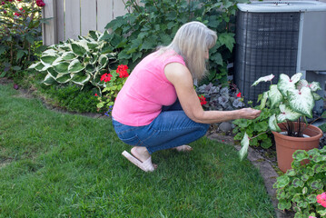 Blond Woman Reaching for Plant in Home Garden