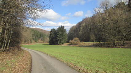 country road in the countryside
