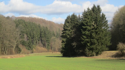 landscape with trees
