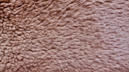soft brown animal fur closeup with dense texture and subtle gradient ideal for textile design or winter product mockup

