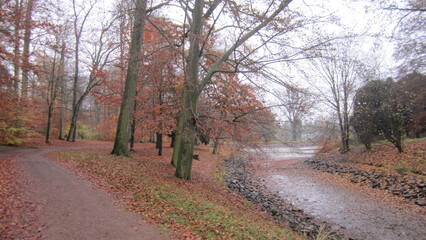 road in autumn