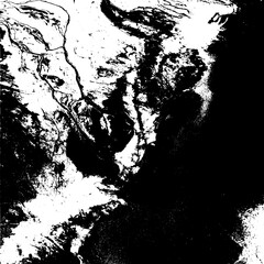 Monochrome Abstract Aerial View of River Delta and Forested Wetlands Offering a Striking Contrast with Bold Graphic Design