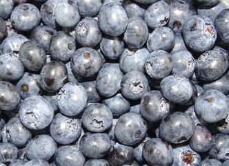 Pile of blueberries. Blueberries background