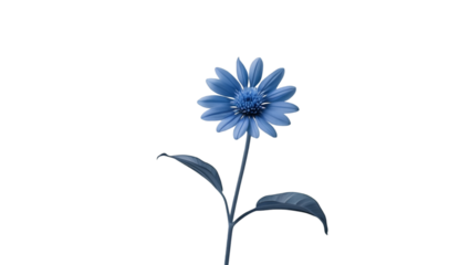 Single Blue Cornflower Isolated on White Background