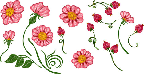 A collection of vintage style hand drawn botanical decorative elements. Elegant swirls, scrolls and floral patterns. Perfect for invitations, labels, packaging and holiday decoration.
