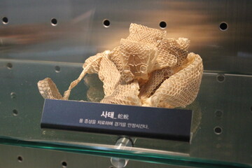 Satae, a traditional animal-based remedy used to relieve wind-related symptoms such as numbness and...