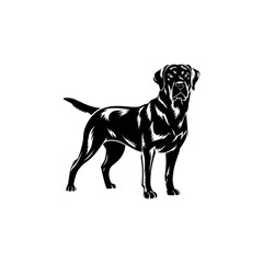 english bulldog puppy black and white dog photo image carton.