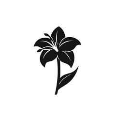 Amaryllis flower silhouette icon on white background