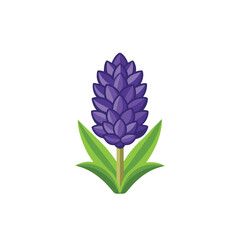 Hyacinth flower vector icon design