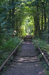 Fototapeta premium Tunnel of Love, Klevan, Ukraine