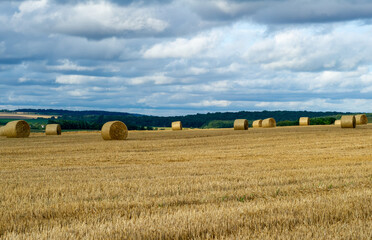 Golden hay bales rest across a patchwork field under a softly clouded sky.