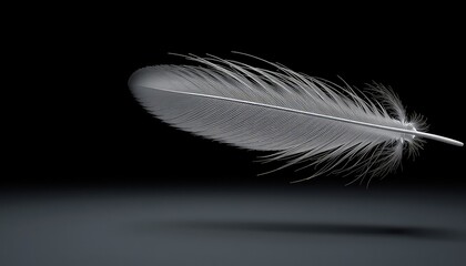 Delicate, ethereal single feather floating serenely above a glossy surface, casting a subtle shadow against a deep and mysterious dark backdrop
