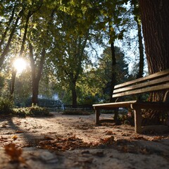 Sunlit park bench nestled beneath leafy trees, autumn leaves scattered on a sun-dappled path